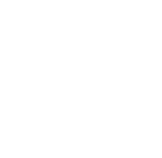 logo_web